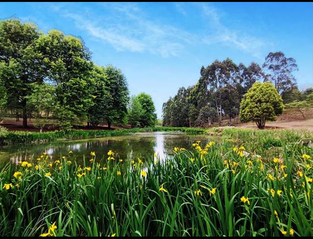 FARM FOR SALE IN PIETERMARITZBURG RURAL